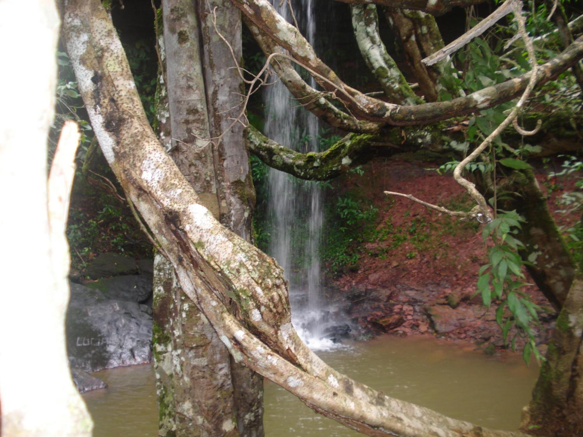 Pousada Jardim Da Chapada Шапада-дус-Гимарайнс Экстерьер фото