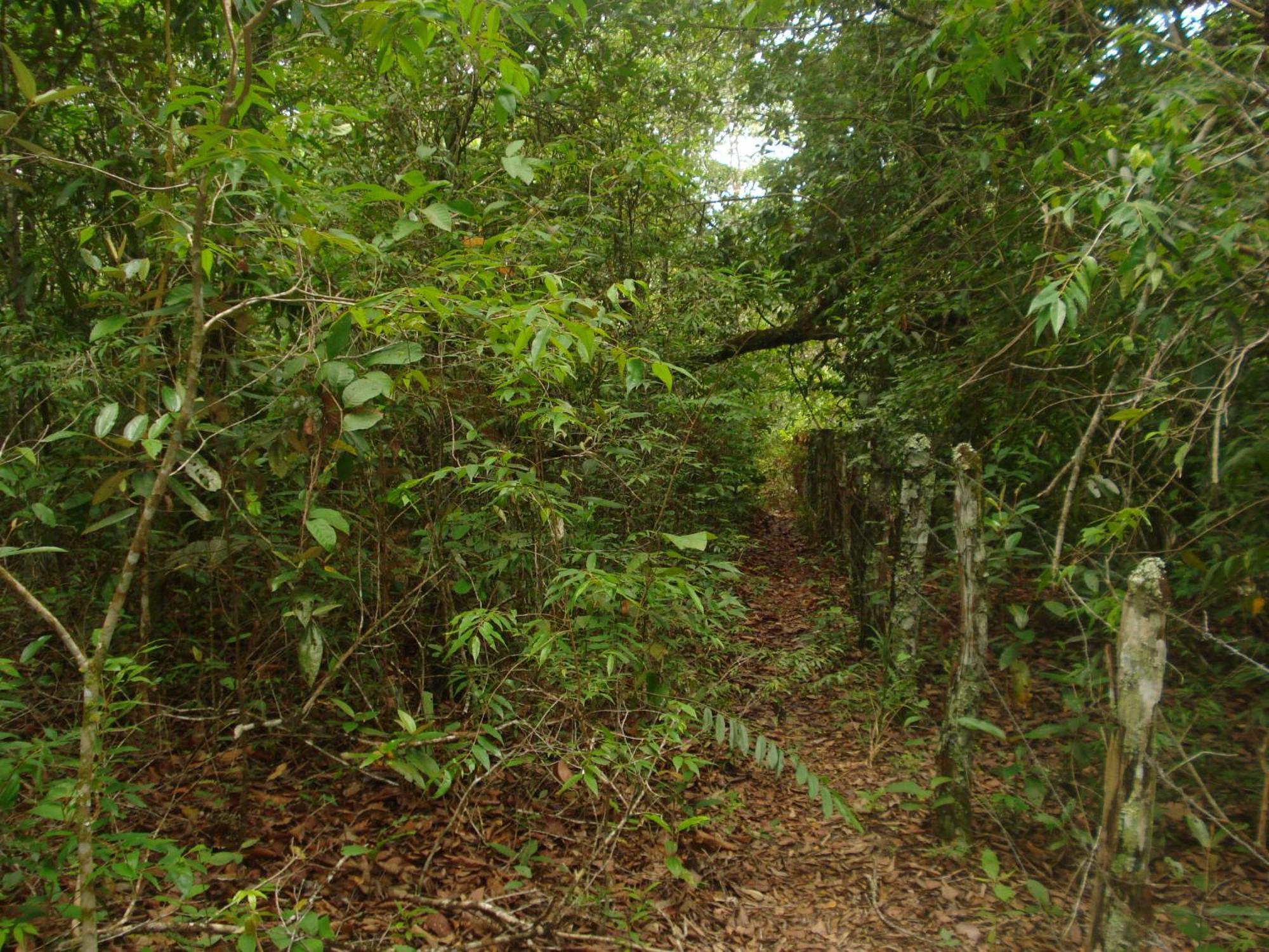 Pousada Jardim Da Chapada Шапада-дус-Гимарайнс Экстерьер фото