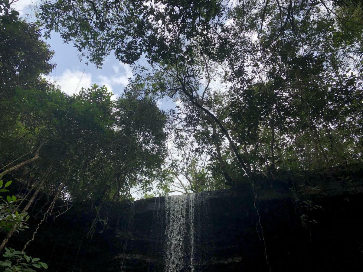 Pousada Jardim Da Chapada Шапада-дус-Гимарайнс Экстерьер фото
