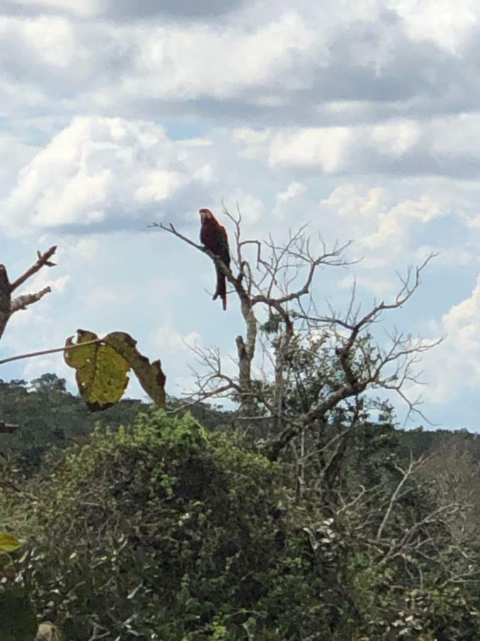 Pousada Jardim Da Chapada Шапада-дус-Гимарайнс Экстерьер фото